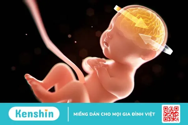 Giải mã lời đồn: Mẹ bầu xem phim kinh dị có ảnh hưởng đến thai nhi?