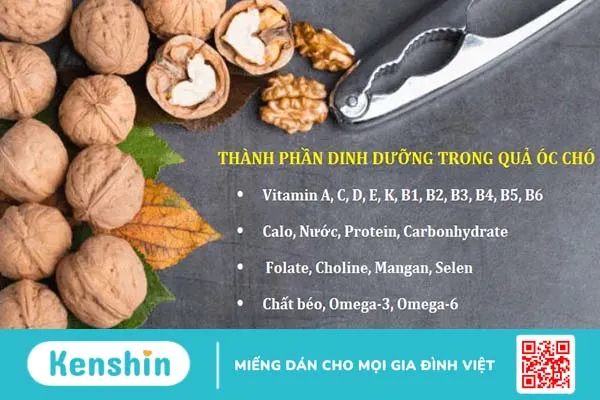 Giảm cân nhanh và hiệu quả nhất với quả óc chó