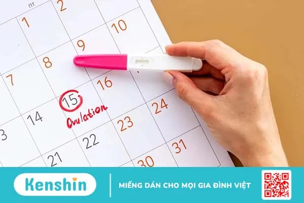 Giúp bạn trả lời câu hỏi trứng rụng rồi thử que có lên vạch không