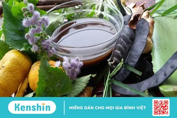 Gội đầu bằng bồ kết có tác dụng gì? Bí quyết tóc mềm mượt