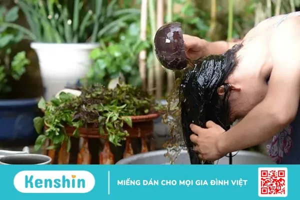 Gội đầu bằng bồ kết có tác dụng gì? Bí quyết tóc mềm mượt