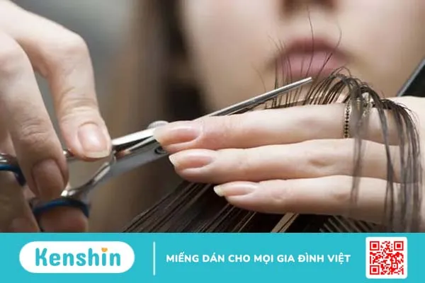 Gội đầu nhiều tóc có nhanh dài không? Ngã ngửa tác dụng ngược khi gội đầu nhiều