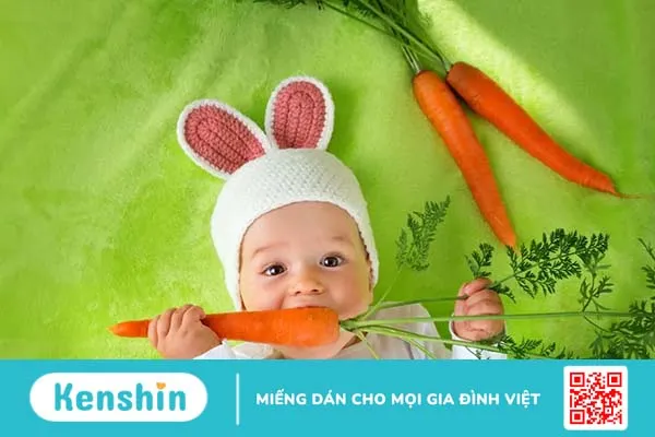 Gợi ý 8 món finger food cho trẻ 8 tháng chưa mọc răng