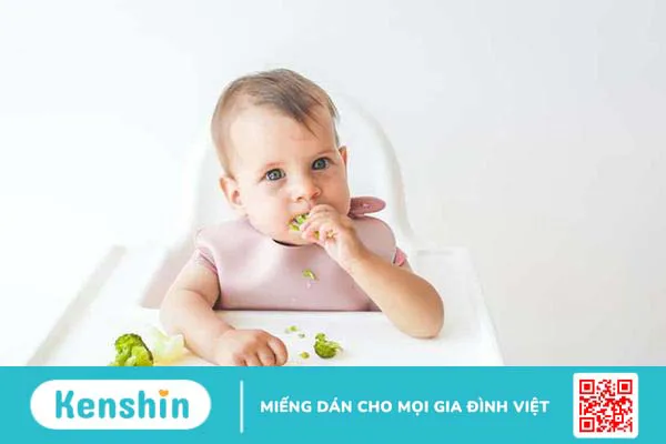 Gợi ý thực đơn ăn dặm cho bé 8 tháng giúp bé mau ăn chóng lớn