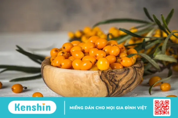 Hắc mai biển dùng để làm gì ?