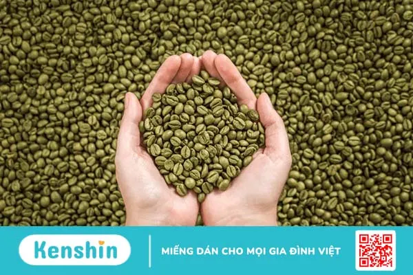 Hạt cà phê xanh: Bí quyết bảo vệ sức khỏe và vóc dáng