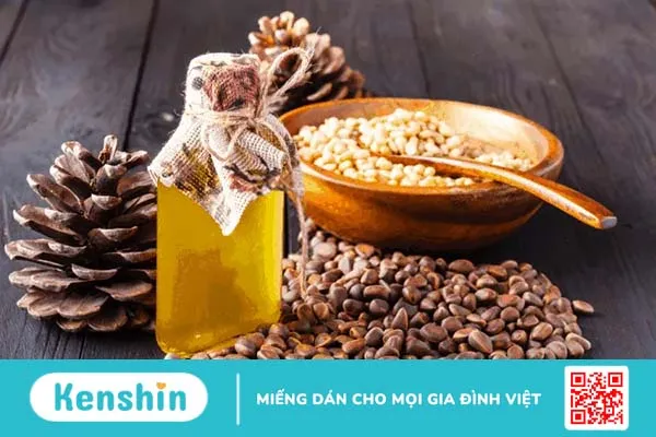 Hạt thông không những ăn được mà còn làm thức uống!