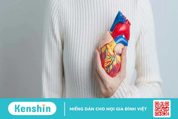 Hệ cơ hoạt động như thế nào, bạn đã biết?