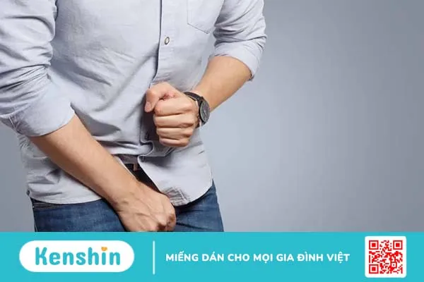 Hệ tiết niệu – Hệ bài tiết nước tiểu gồm các cơ quan nào?