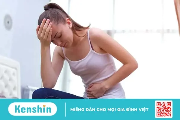 Hệ tiết niệu – Hệ bài tiết nước tiểu gồm các cơ quan nào?