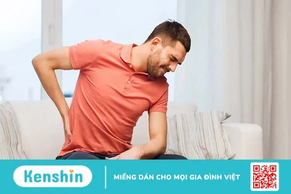 Hệ tiết niệu – Hệ bài tiết nước tiểu gồm các cơ quan nào?