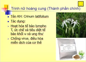 Hiểu đúng về bệnh u nang buồng trứng để điều trị u nang buồng trứng