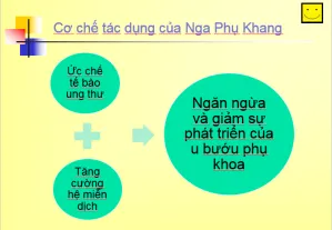 Hiểu đúng về bệnh u nang buồng trứng để điều trị u nang buồng trứng