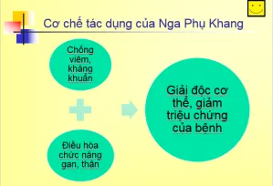 Hiểu đúng về bệnh u nang buồng trứng để điều trị u nang buồng trứng