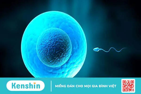 Hiểu rõ 9 nguyên nhân thụ thai không thành công giúp tăng cơ hội có con