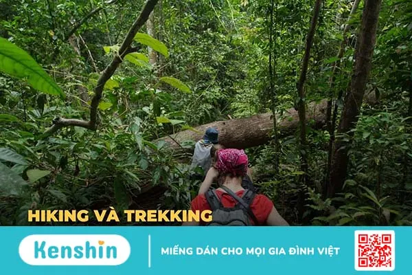 Hiking là gì? Walking, hiking và trekking khác nhau thế nào?