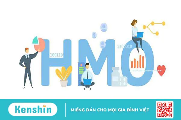 HMO là gì? 6 lợi ích đối với trẻ sơ sinh và nguồn bổ sung HMO cho bé