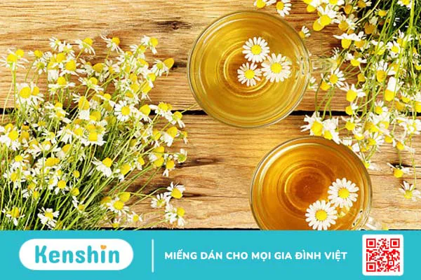 Hoa cúc: Những lợi ích chữa bệnh bất ngờ