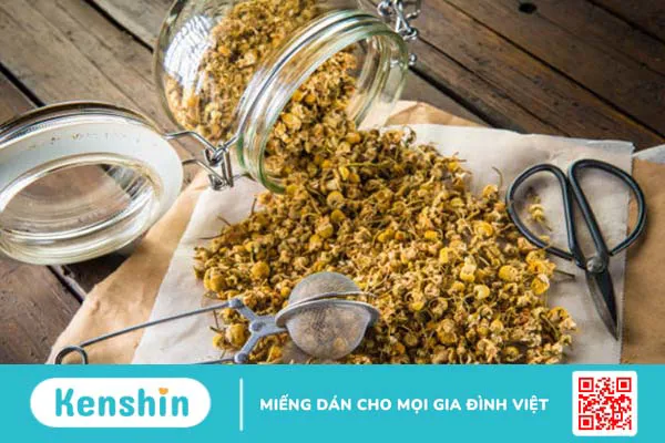 Hoa cúc: Những lợi ích chữa bệnh bất ngờ