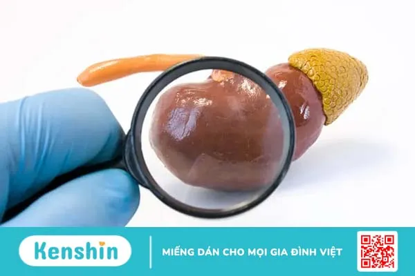 Hội chứng thận hư là gì?