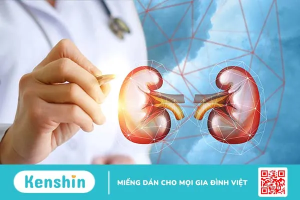 Hội chứng thận hư là gì?