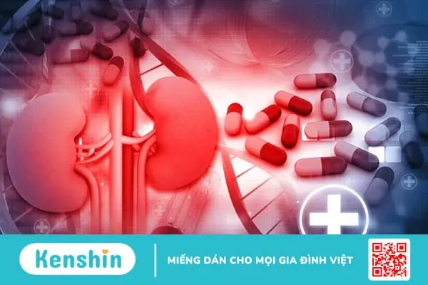 Hội chứng thận hư là gì?