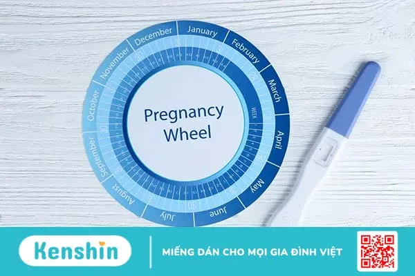 Hỏi đáp Bác sĩ: Tuổi thai được tính như thế nào? Có mấy cách tính tuổi thai?