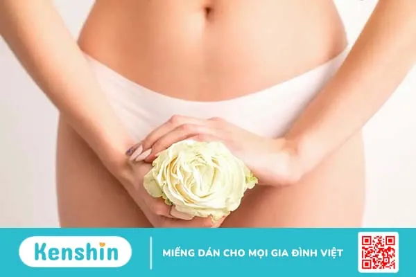 Hôn vùng kín có mùi gì? Mùi vị của bộ phận sinh dục nữ khi tevet