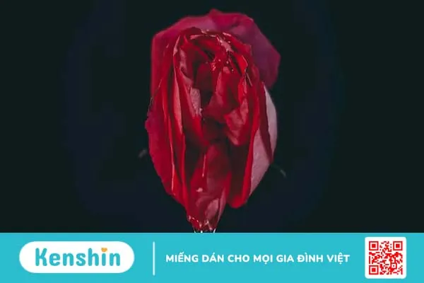 Hôn vùng kín có mùi gì? Mùi vị của bộ phận sinh dục nữ khi tevet