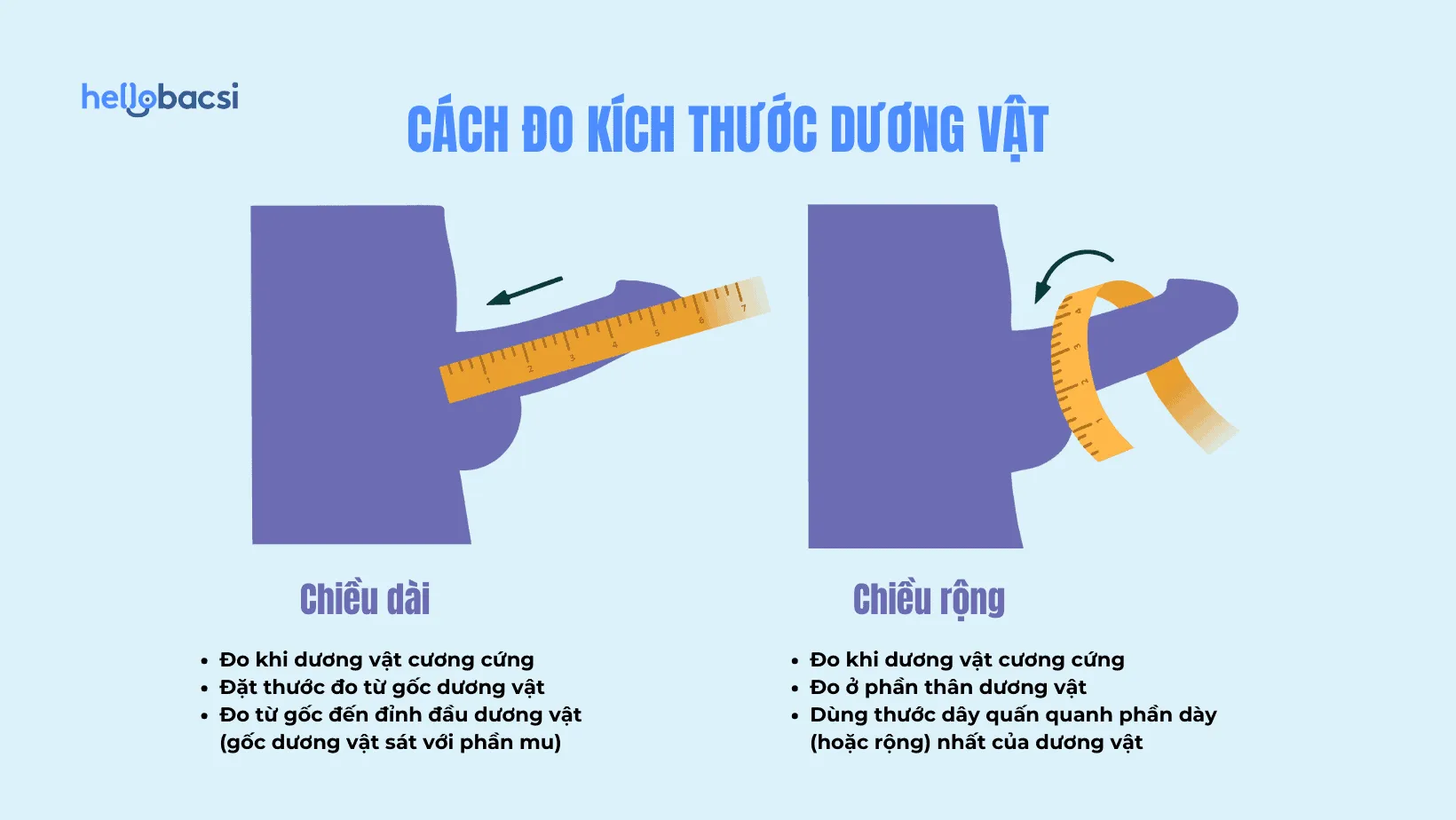 Hướng dẫn 3 cách đo kích thước dương vật: Chiều dài, chu vi, đường kính