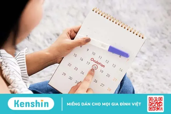 Hướng dẫn chi tiết 2 cách tính ngày quan hệ an toàn chính xác nhất