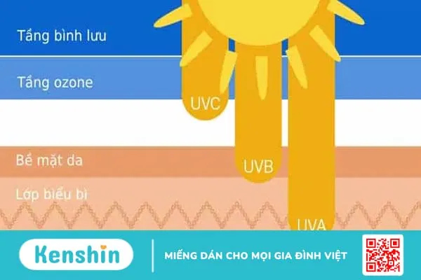 Hướng dẫn tắm nắng đúng cách cho người lớn tăng vitamin D