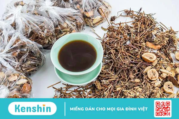 Hy thiêm và 10 bài thuốc chữa bệnh có hy thiêm thảo