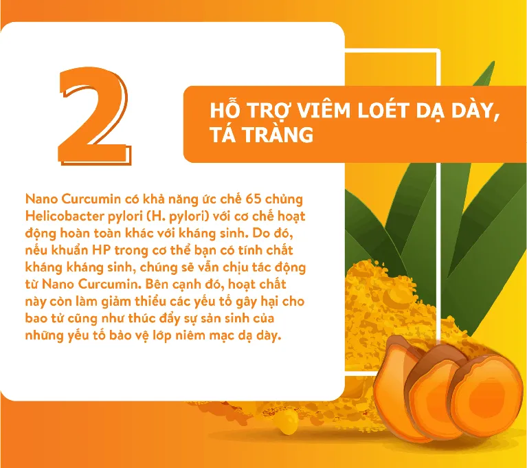 [Infographic] Bất ngờ với 6 tác dụng của Nano Curcumin