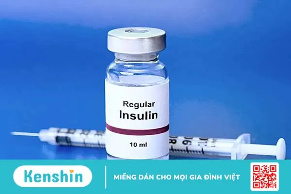 Insulin và glucagon trong cơ chế điều hòa đường huyết