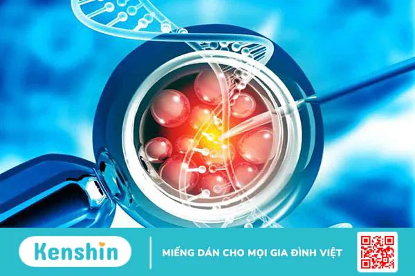 IUI và IVF khác nhau như thế nào, nên chọn phương pháp nào?