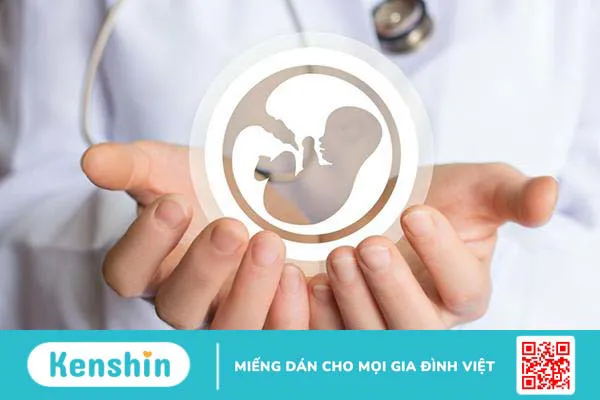 IUI và IVF khác nhau như thế nào, nên chọn phương pháp nào?