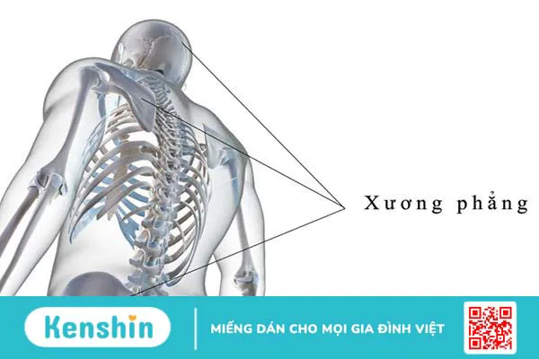 Khám phá bí mật về khung xương cơ thể