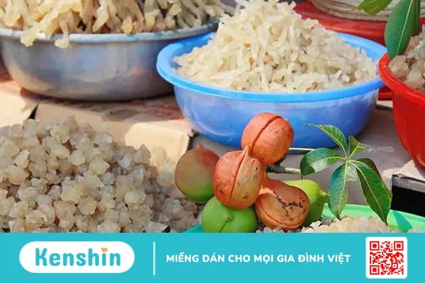 Khám phá những công dụng của mủ trôm và cách pha mủ trôm giải nhiệt