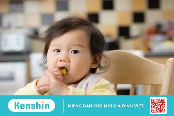 Khi nào có thể cho con ăn kiwi? Cách chế biến kiwi cho bé ăn dặm