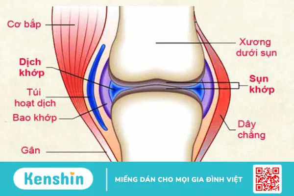 Khô khớp gối: Nguyên nhân và biện pháp khắc phục