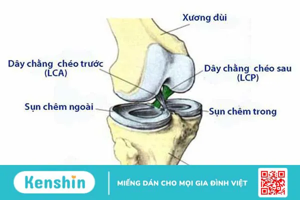 Khô khớp gối: Nguyên nhân và biện pháp khắc phục