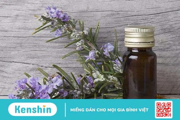 Không cần thuốc, tinh dầu cũng có thể chữa cảm cúm