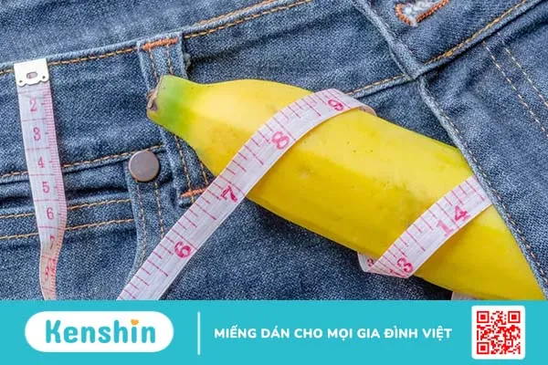 Kích thước dương vật đàn ông Việt Nam bình thường là bao nhiêu?