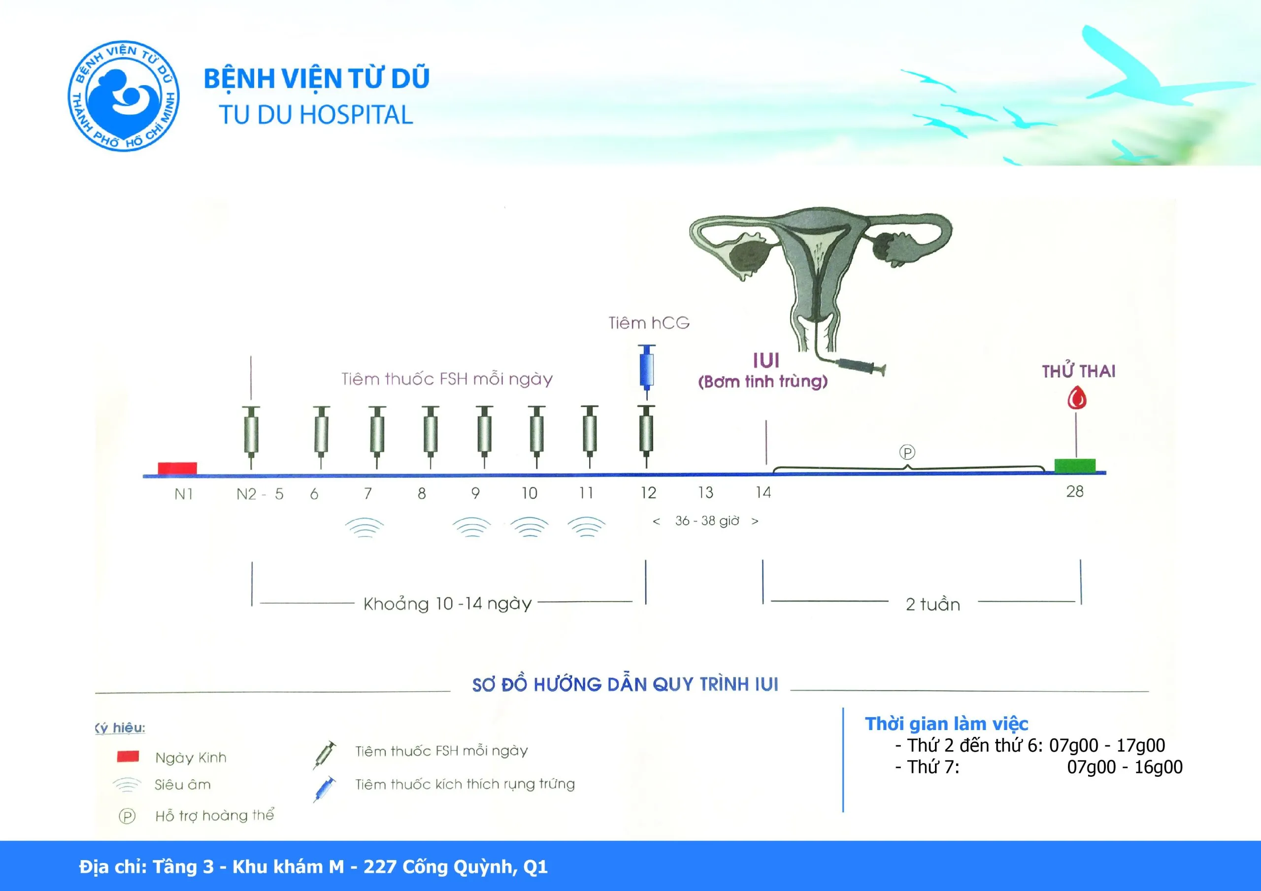 Kinh nghiệm đi khám dịch vụ Bệnh viện Từ Dũ và chữa hiếm muộn