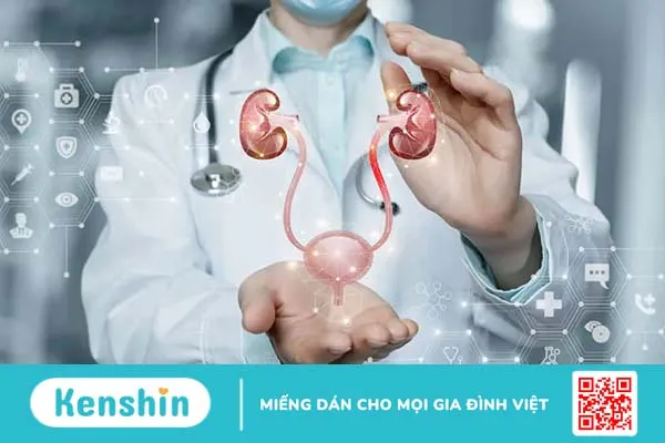 Kỹ thuật bơm rửa bàng quang là gì? Quy trình và những lưu ý khi thực hiện