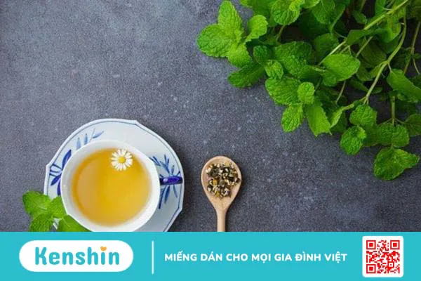 Lá bạc hà có tác dụng gì? 7 lợi ích bạn nên biết!