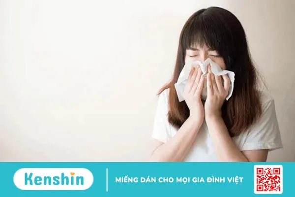 Lá lốt trị viêm xoang có hiệu quả không?