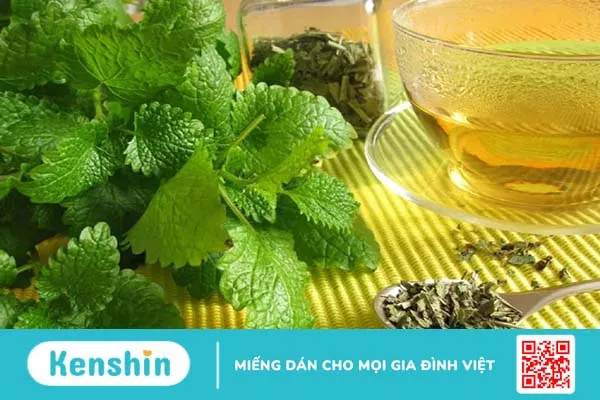 Lá tía tô đất – “Hộ vệ” của sức khỏe trẻ nhỏ