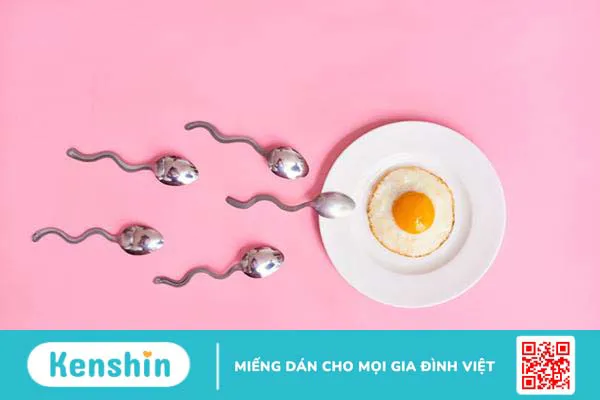 Làm sao để có thai nhanh? Chuyên gia gợi ý 8 cách giúp thụ thai nhanh